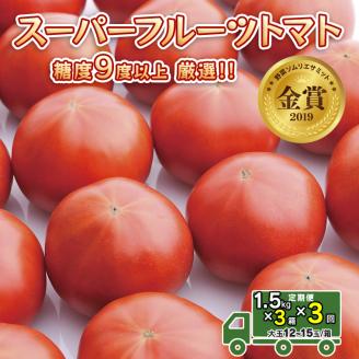 先行予約 [定期便] 1.5kg×3箱× 3回お届け! スーパーフルーツトマト中箱 [大玉 12〜15玉/1箱]糖度9度以上[AF045ci] ・申込期日