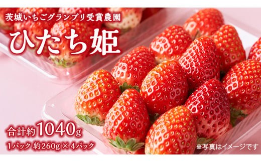 【 茨城いちごグランプリ 受賞 農園 】 完熟 ひたち姫 4パック 茨城県オリジナル品種 イチゴ 苺 フルーツ 果物 果実 [DY004ci]
