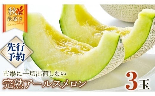完熟 アールスメロン 3玉 2026年産 先行予約 メロン マスクメロン 青肉 果物 フルーツ 茨城県産 期間限定 数量限定 [AF004ci]