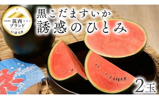 【 JA北つくば 】 黒こだますいか 「 誘惑のひとみ 」 2玉 2026年産 スイカ 果物 フルーツ 小玉スイカ 小玉 西瓜 くだもの デザート 茨城 [AE017ci]