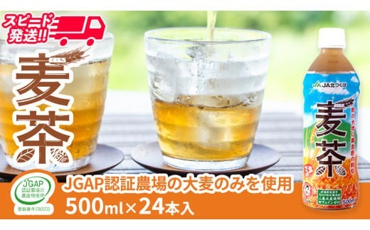 スピード発送!!【 JA 北つくば 】 JGAP認証 麦茶 1箱 ( 500ml × 24本 ) JGAP JA お茶 茶 ペットボトル 麦 大麦 二条大麦 ノンカフェイン カフェインゼロ スピード配送 [AE020ci]