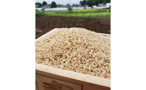 玄米　コシヒカリ5kg【令和7年産】