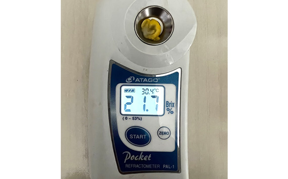 ［坂東市産］朝採り直送とうもろこし スーパースィート「おおもの」2L 10本～12本 5kg