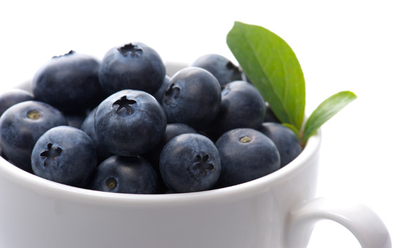 茨城県坂東市産 冷凍ブルーベリー 約500g【先行予約】