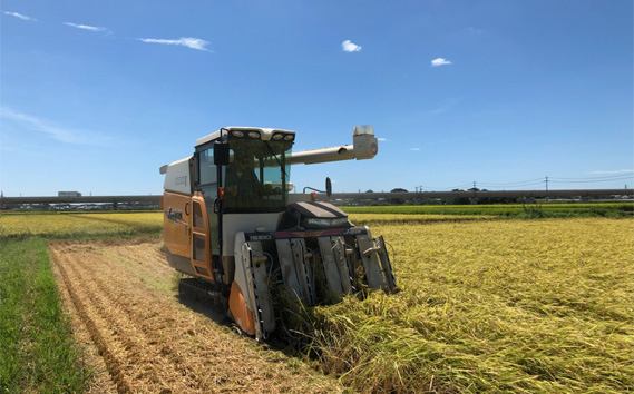 「令和6年産」冬眠米コシヒカリ　2kg