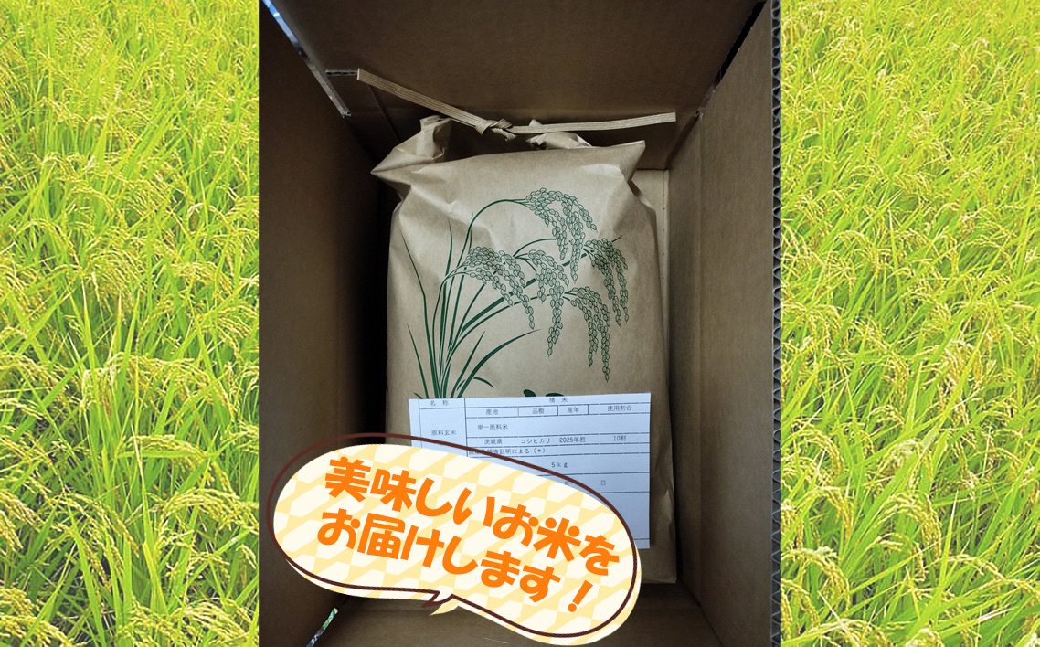 【令和7年米】茨城県坂東市利根川流域産コシヒカリ5kg
