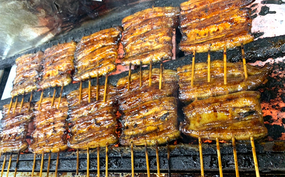 国産鰻　蒲焼き（1人前）