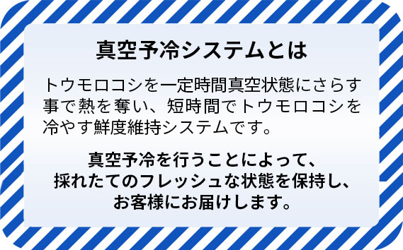 【8kg】坂東市朝採りとうもろこし「ゴールドラッシュ」冷蔵済