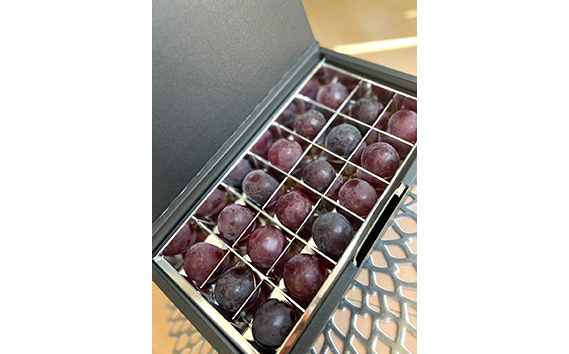 【先行予約】粒々ぶどう18粒　ナガノパープル【茨城県共通返礼品 かすみがうら市】