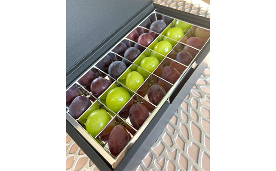 【先行予約】粒々ぶどう18粒　シャインマスカットとぶどう2品種【茨城県共通返礼品 かすみがうら市】