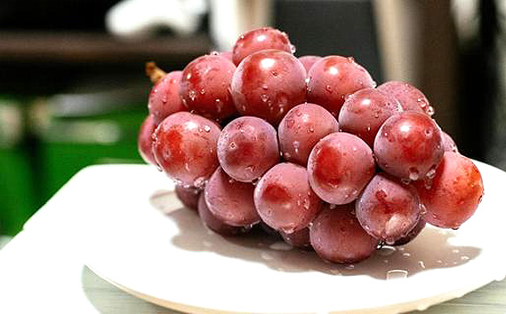 【先行予約】粒々ぶどう18粒　ナガノパープルとぶどう2品種【茨城県共通返礼品 かすみがうら市】