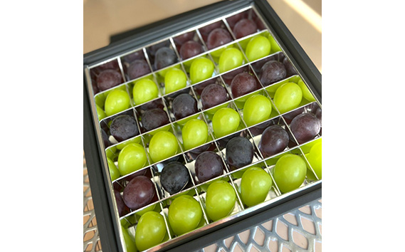 【先行予約】粒々ぶどう36粒　シャインマスカットとぶどう1品種【茨城県共通返礼品 かすみがうら市】