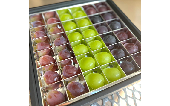 【先行予約】粒々ぶどう36粒　シャインマスカットとぶどう2品種【茨城県共通返礼品 かすみがうら市】