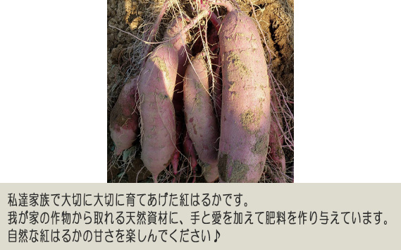 【訳あり】紅はるか10kg