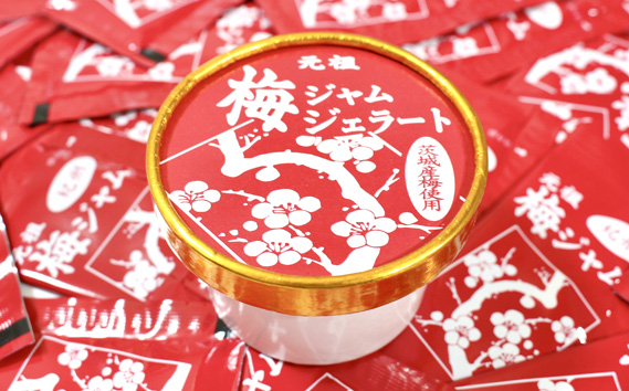 梅ジャムジェラート　【100g×10個】