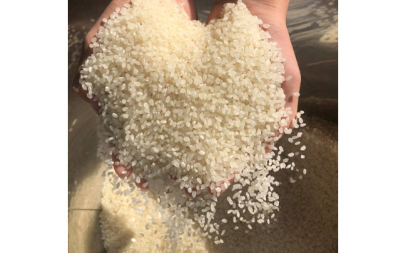 白米　コシヒカリ30kg【令和7年産】