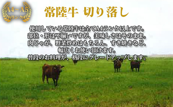 【常陸牛】切り落し　約1kg＜茨城県共通返礼品＞