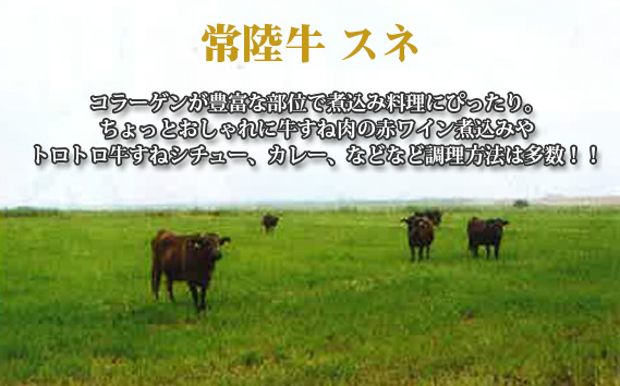 【常陸牛】スネ　約1kg＜茨城県共通返礼品＞