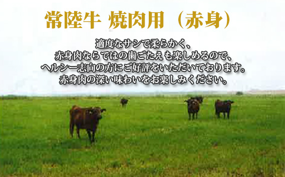 【常陸牛】焼肉用（赤身）約500g＜茨城県共通返礼品＞