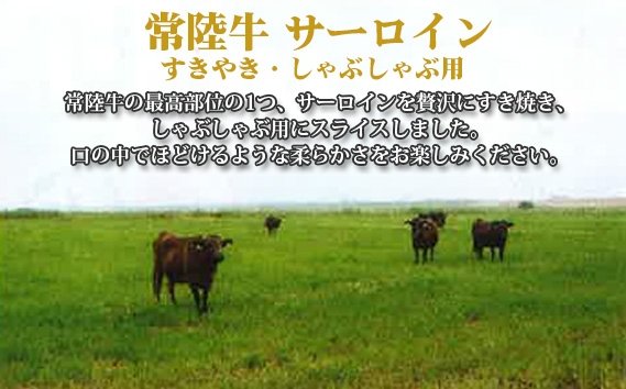 【常陸牛】サーロイン　すき焼き・しゃぶしゃぶ用　約350g＜茨城県共通返礼品＞