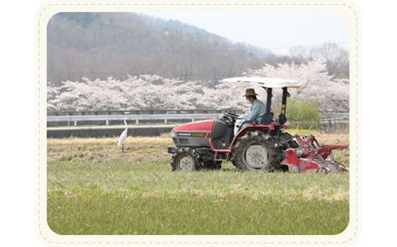 新米とたまごのセット【たまご屋さんのTKGセット（米6kg+たまご60個（卵割れ補償10個を含む））】