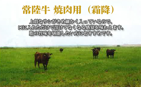 【常陸牛】焼肉用（霜降）約800g＜茨城県共通返礼品＞