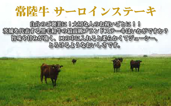 【常陸牛】サーロインステーキ　約250g×3枚＜茨城県共通返礼品＞