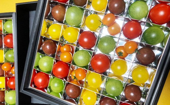 【先行予約】カラフルミニトマトの宝石箱　36粒【茨城県共通返礼品 つくばみらい市】