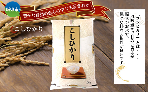 令和7年産　こしひかり5kg【坂東市産】