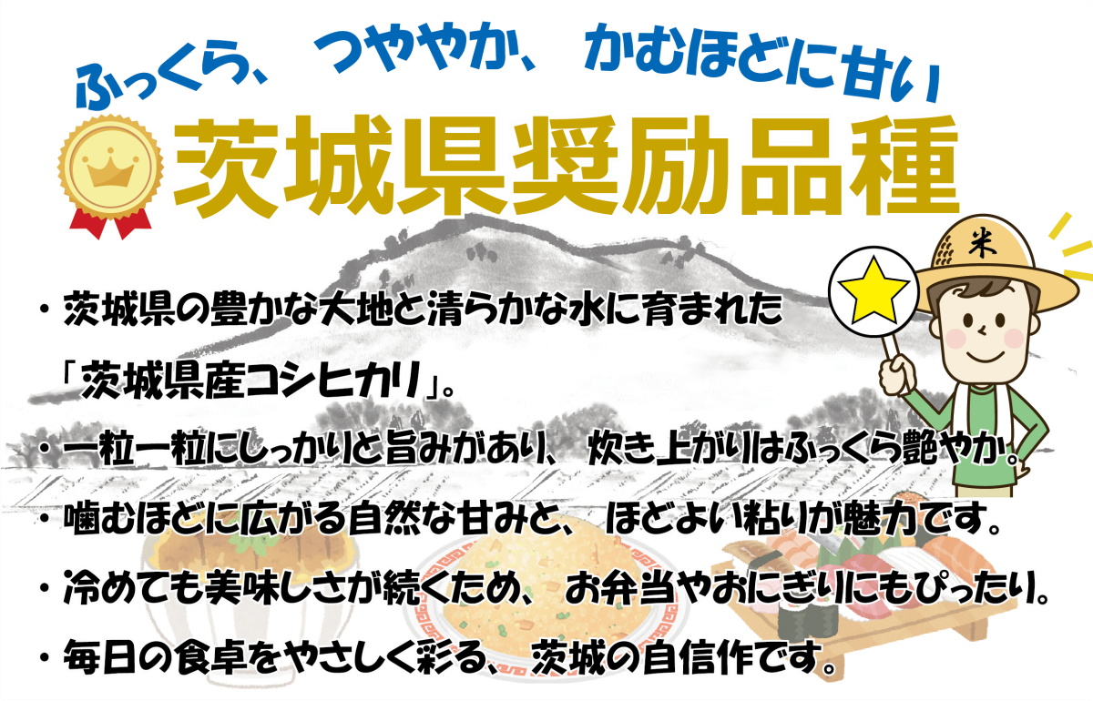 【5kg】茨城県産 コシヒカリ　1等精米5kg