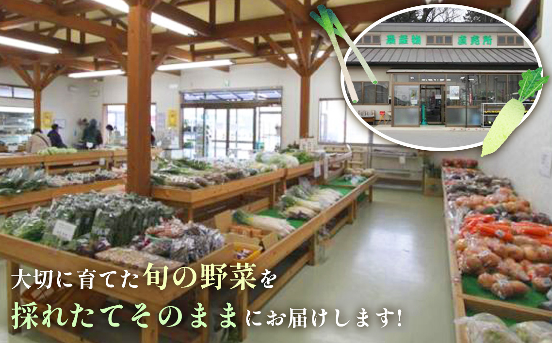 【坂東市産】季節のお野菜詰め合わせ