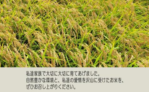 白米　コシヒカリ3kg【令和7年産】