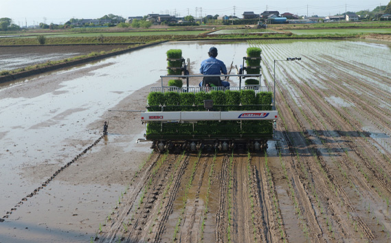 「令和6年産」冬眠米コシヒカリ　2kg