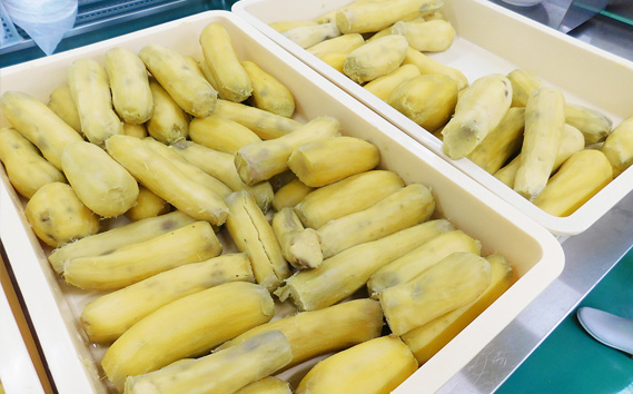 坂東市産　干し芋　紅はるか（計740g/180g×3袋・100g×2袋）