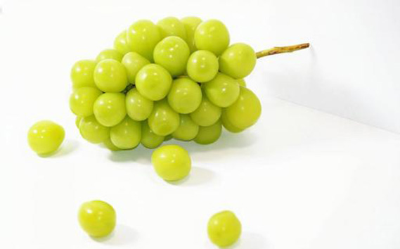 【先行予約】粒々いちご36粒　とちおとめと白いちごとシャインマスカット【茨城県共通返礼品 かすみがうら市】