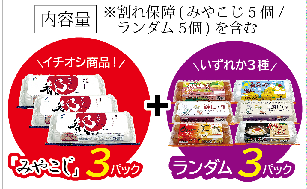 たまご好きが唸る！「都路のたまご」バラエティーパック※「みやこじ」30個（25個＋卵割れ補償5個）、「ランダム」30個（25個＋卵割れ補償5個）