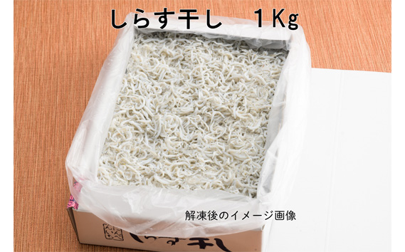 しらす干し　1kg【茨城県共通返礼品 大洗町】