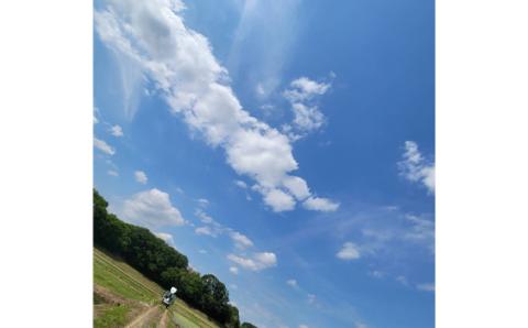 白米　コシヒカリ3kg【令和7年産】