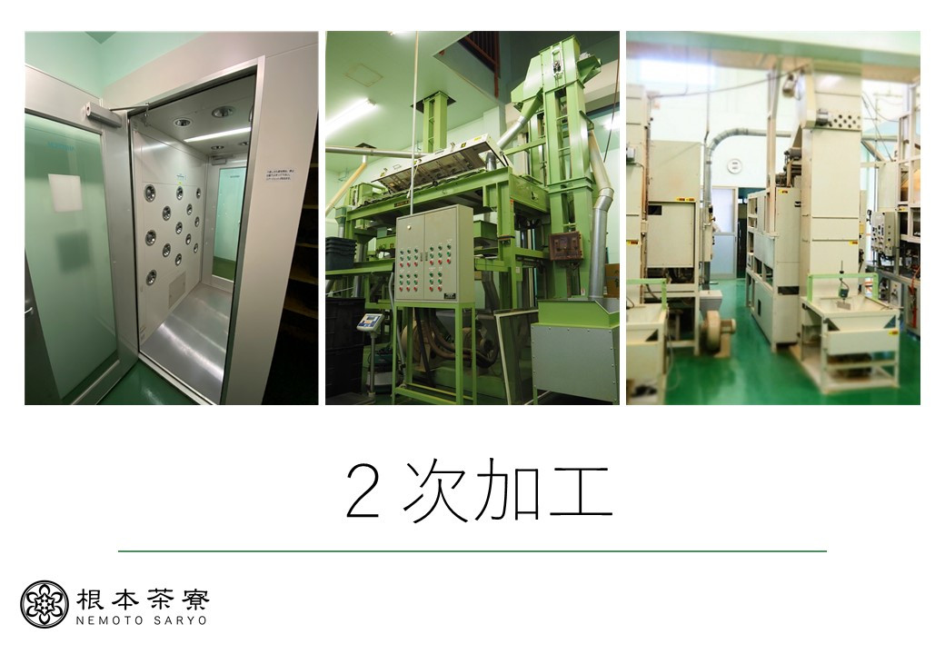 毎日茶 深蒸し茶 1.5kg