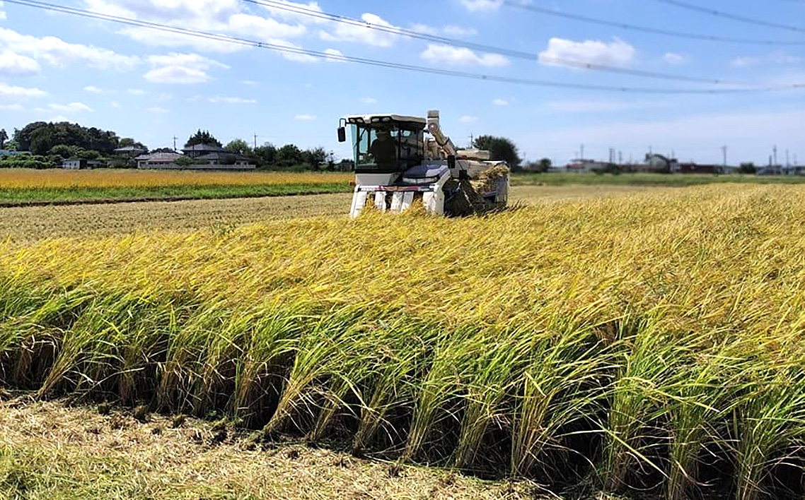 【令和7年米】茨城県坂東市利根川流域産コシヒカリ5kg
