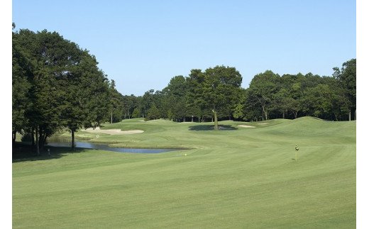 猿島カントリー倶楽部利用券90000円