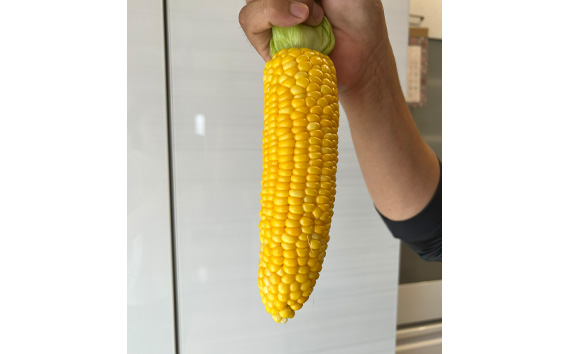 【4kg】坂東市朝採りとうもろこし「ゴールドラッシュ」冷蔵済