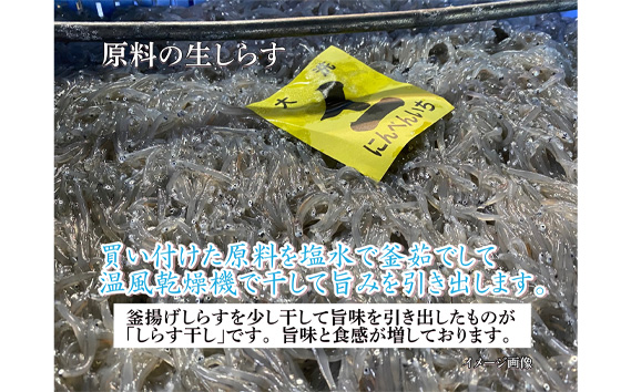 しらす干し　1040g（130g×8パック）【茨城県共通返礼品 大洗町】