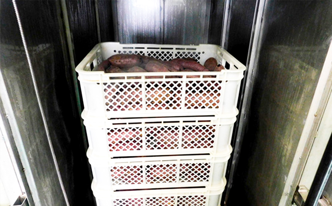 坂東市産　干し芋　紅はるか　100g×5パック