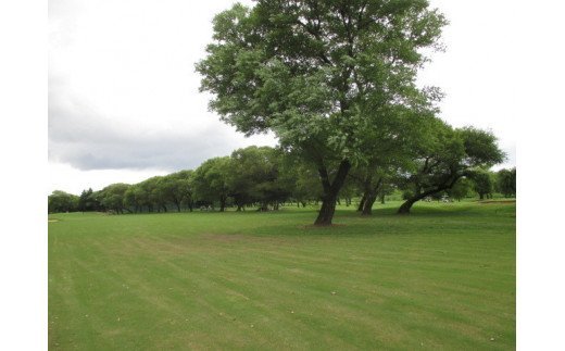 常総カントリー倶楽部利用券15000円分（寄付金額の3割相当額分）