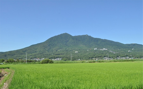 【令和7年産】茨城県産コシヒカリ20kg（10kg×2袋）精米 JA茨城むつみ