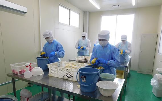 坂東市産　干し芋　紅はるか（計900g/180g×5袋）