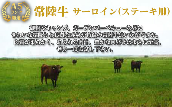 【常陸牛】佐藤さんのA5ローストビーフ（3～4パック）合計600g＜茨城県共通返礼品＞