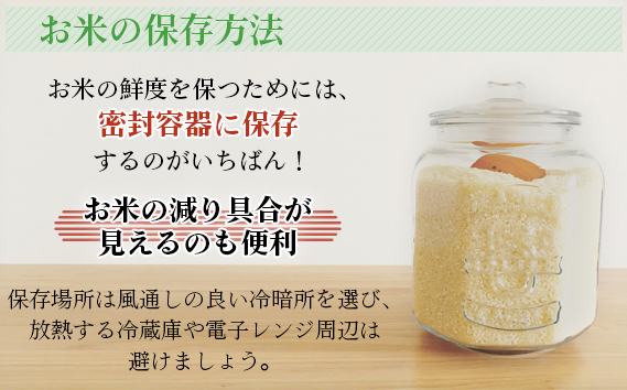 【坂東市産】【令和7年産米】茨城コシヒカリ5kg×2