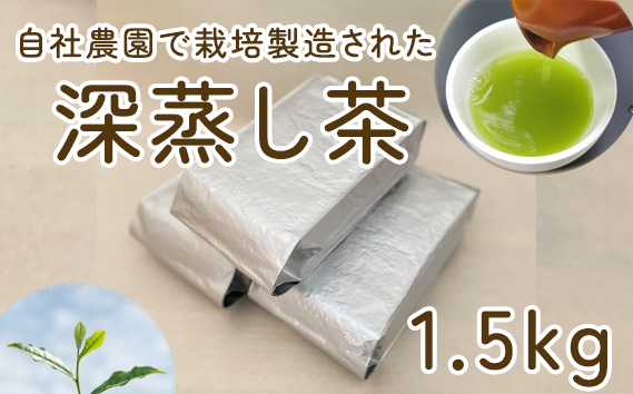 毎日茶 深蒸し茶 1.5kg